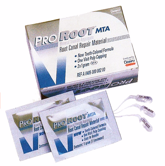 根管充填材 ProRoot MTA のパッケージと製品内容